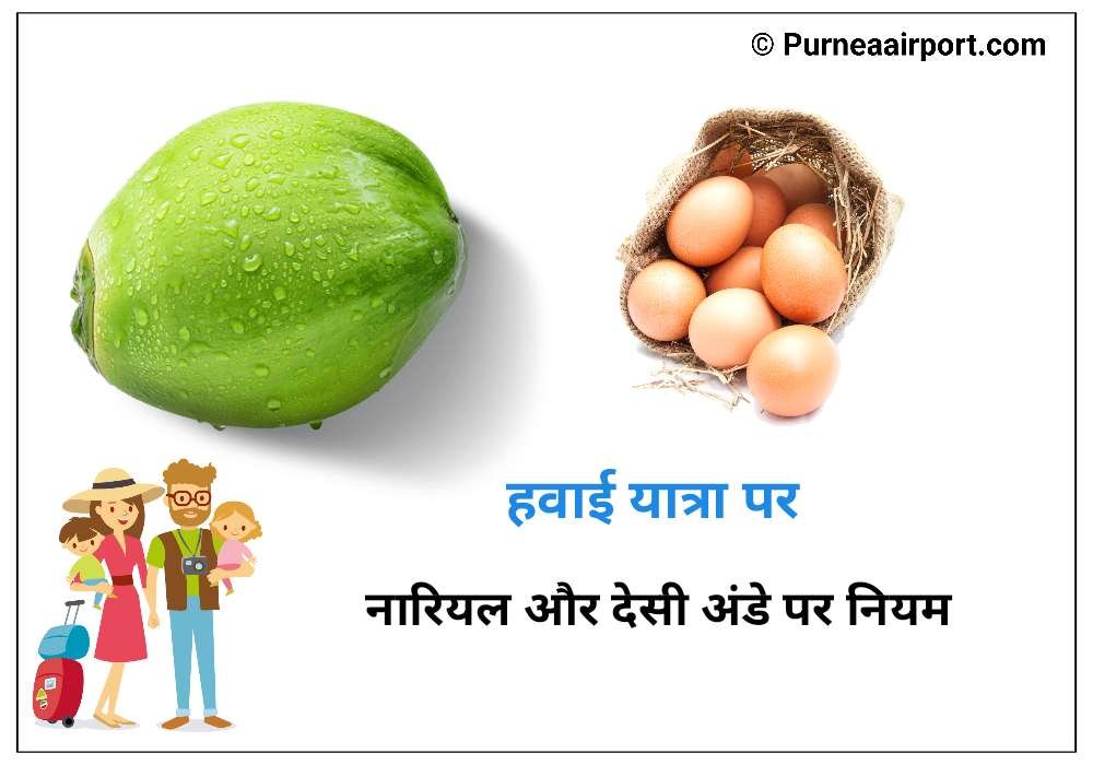 क्या हवाई जहाज पर नारियल और देसी अंडा लेकर जा सकते हैं